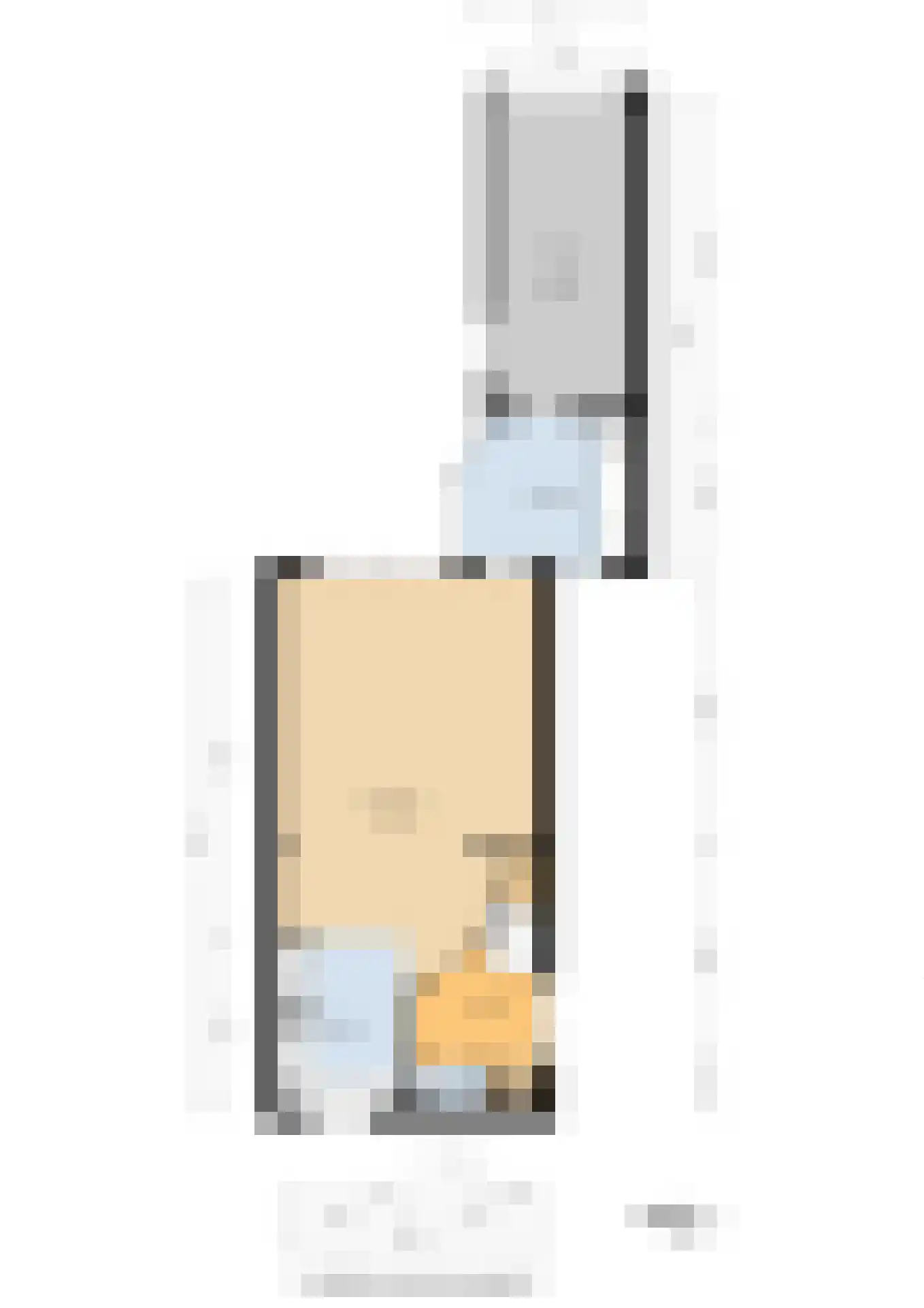 Lijster 27 Sommelsdijk thumbnail 39