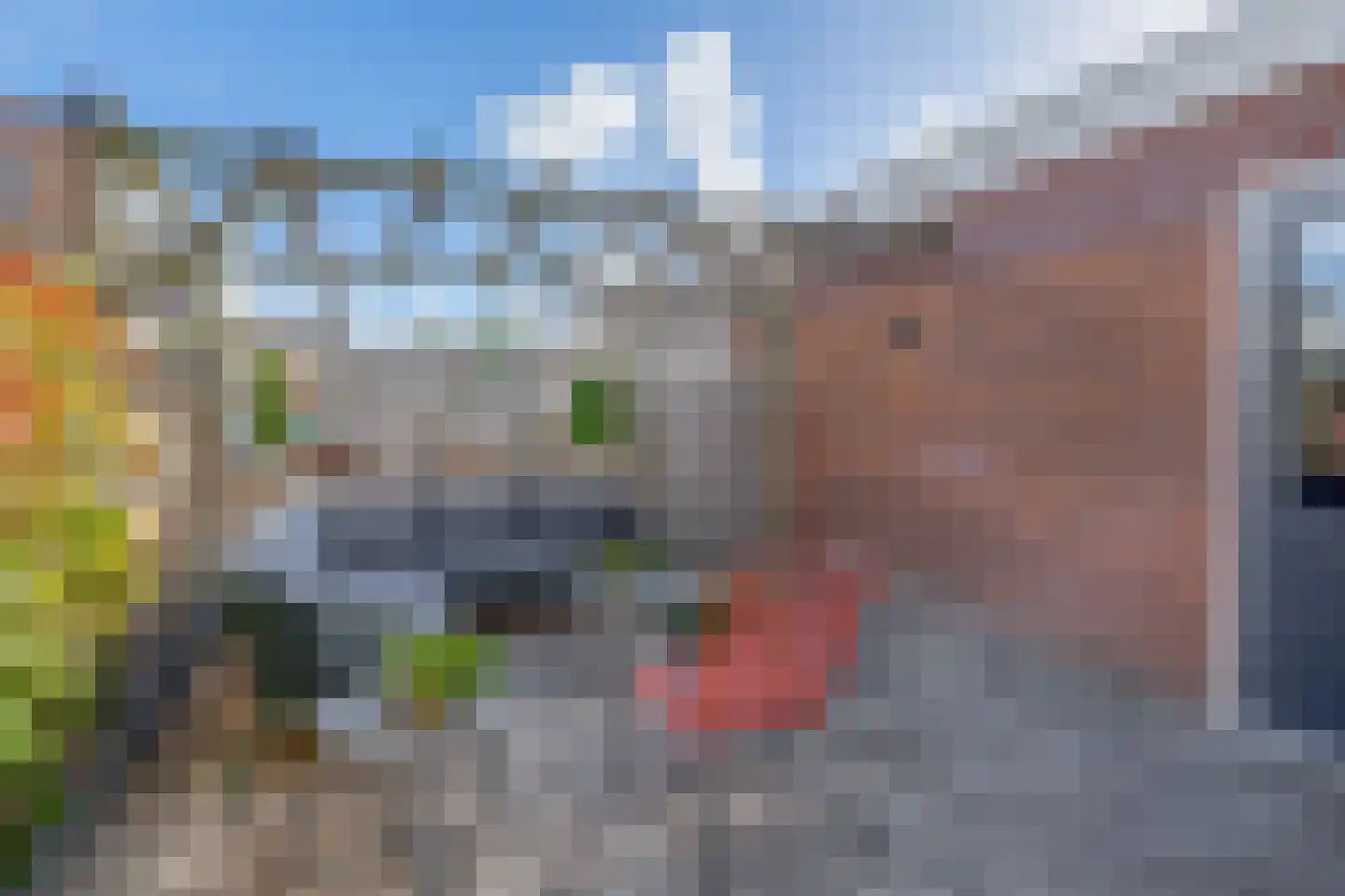 Lijster 27 Sommelsdijk thumbnail 4