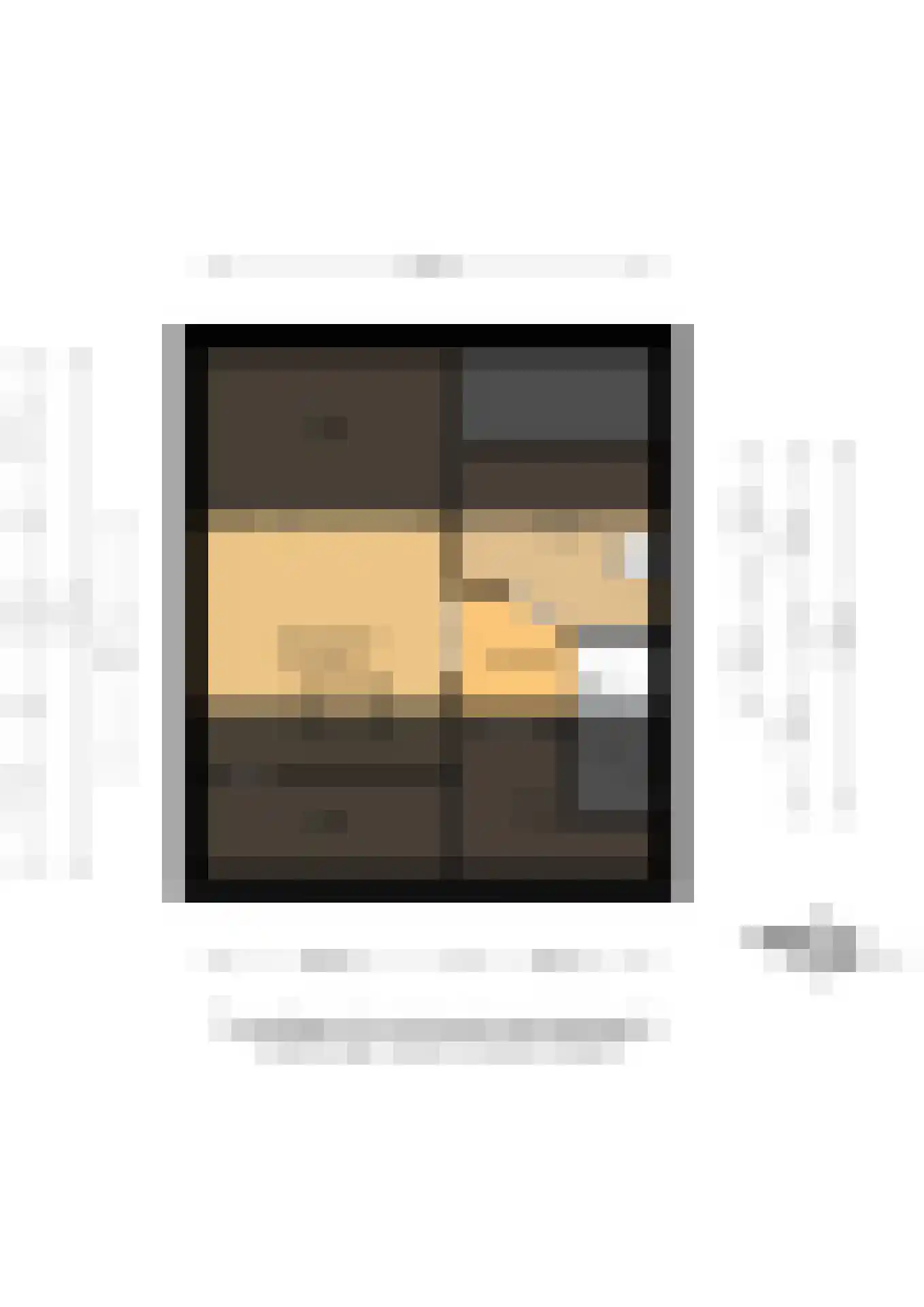 Lijster 27 Sommelsdijk thumbnail 41