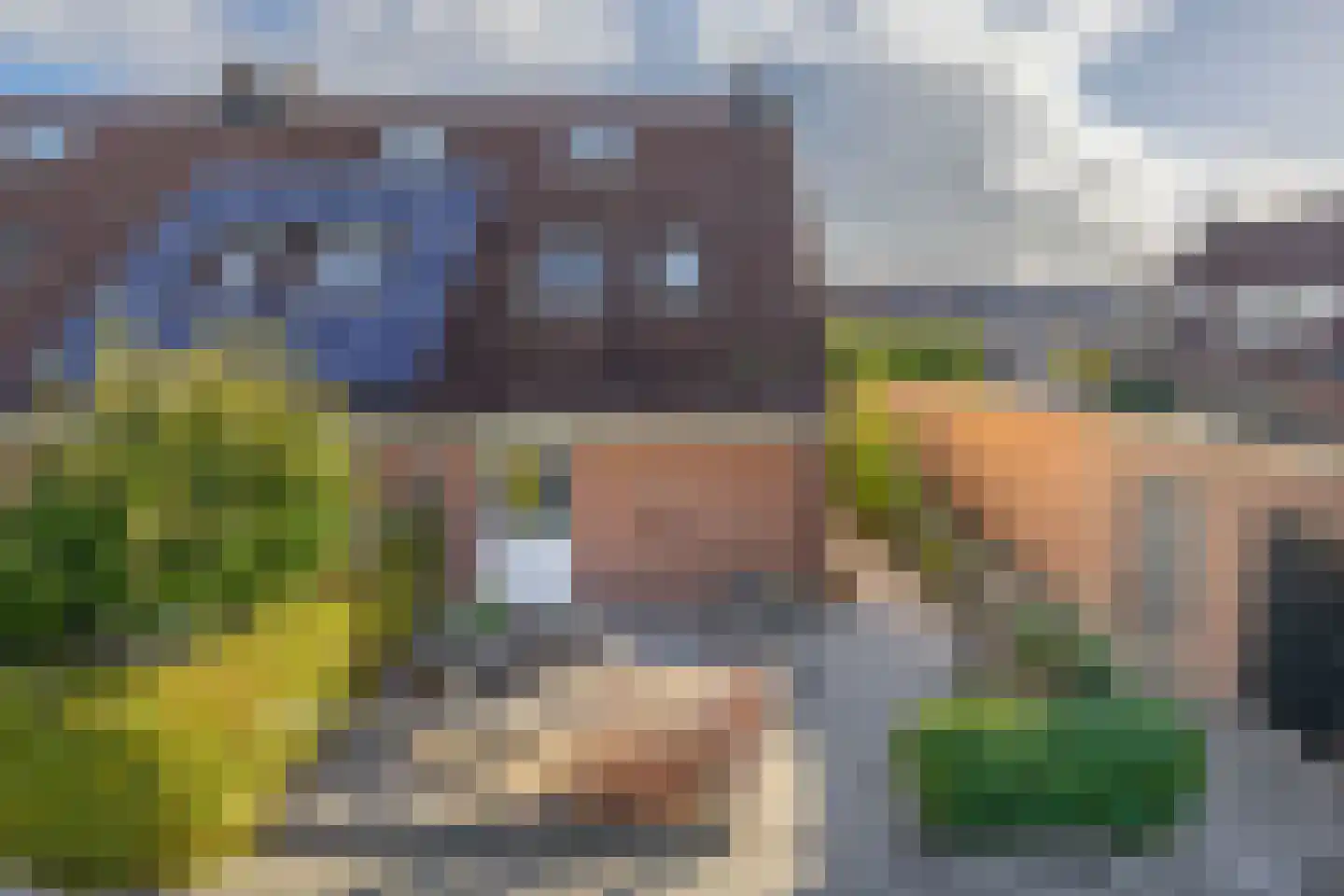 Lijster 27 Sommelsdijk thumbnail 5