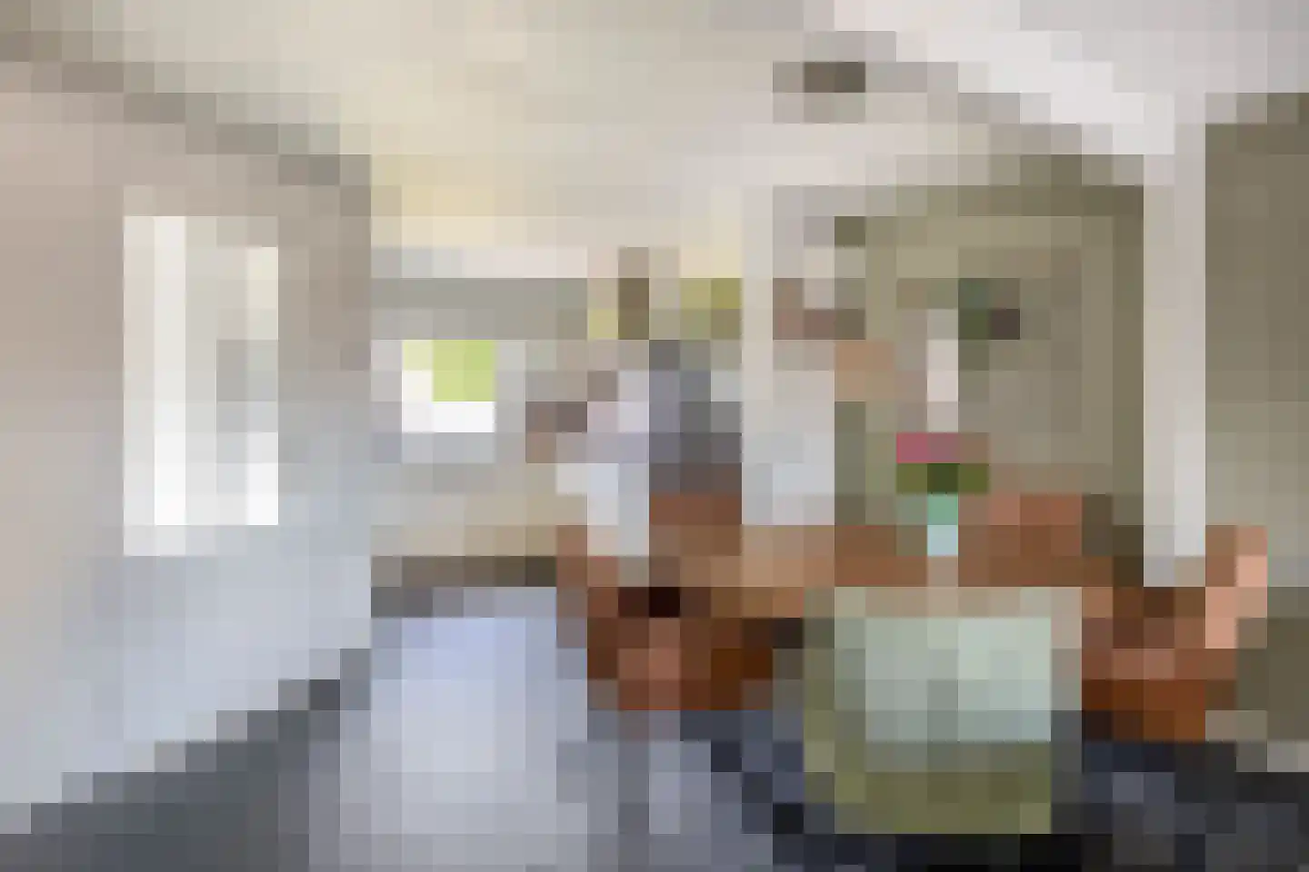 Lijster 27 Sommelsdijk thumbnail 7
