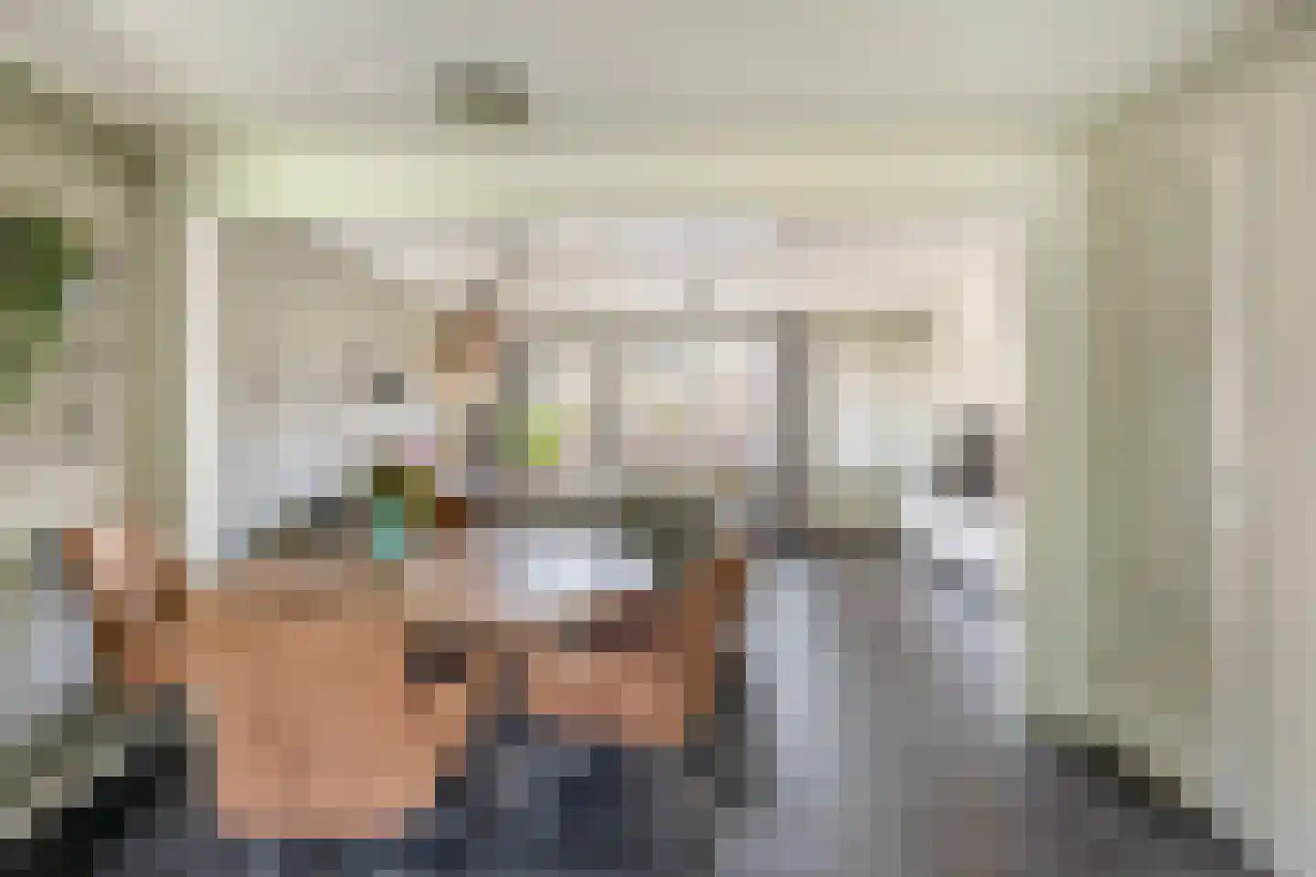 Lijster 27 Sommelsdijk thumbnail 8