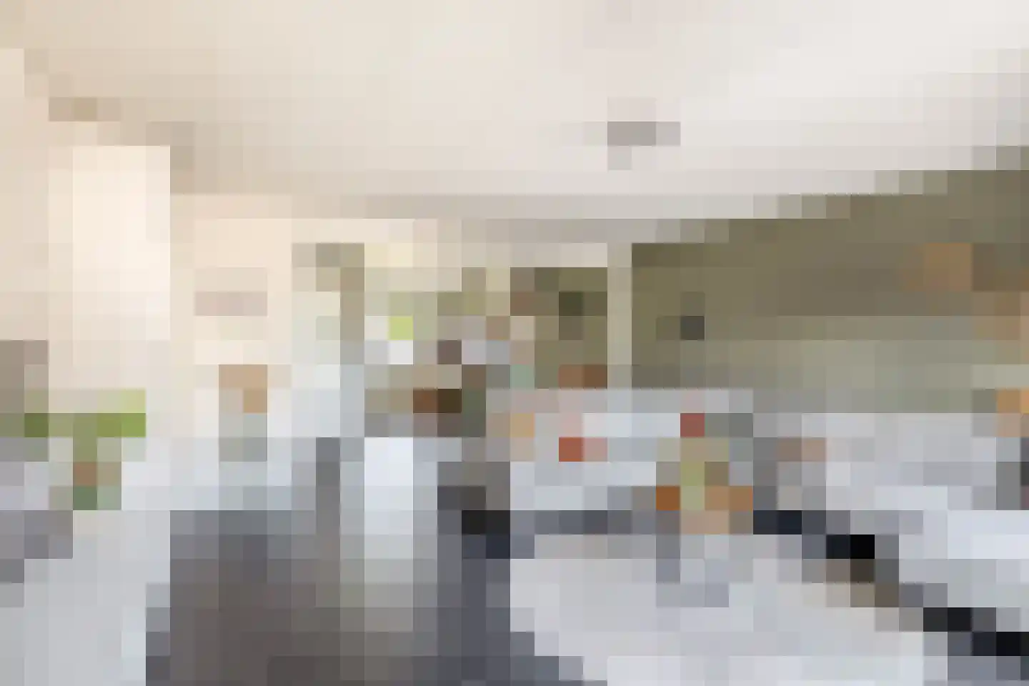 Lijster 27 Sommelsdijk thumbnail 9
