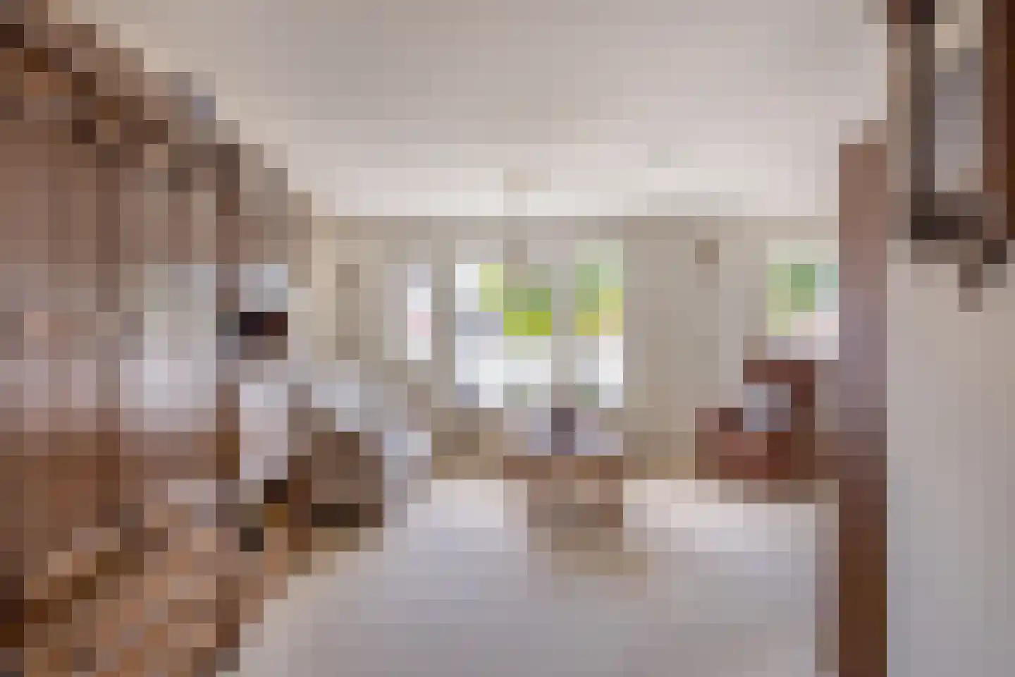 Lijster 28 Sommelsdijk thumbnail 10