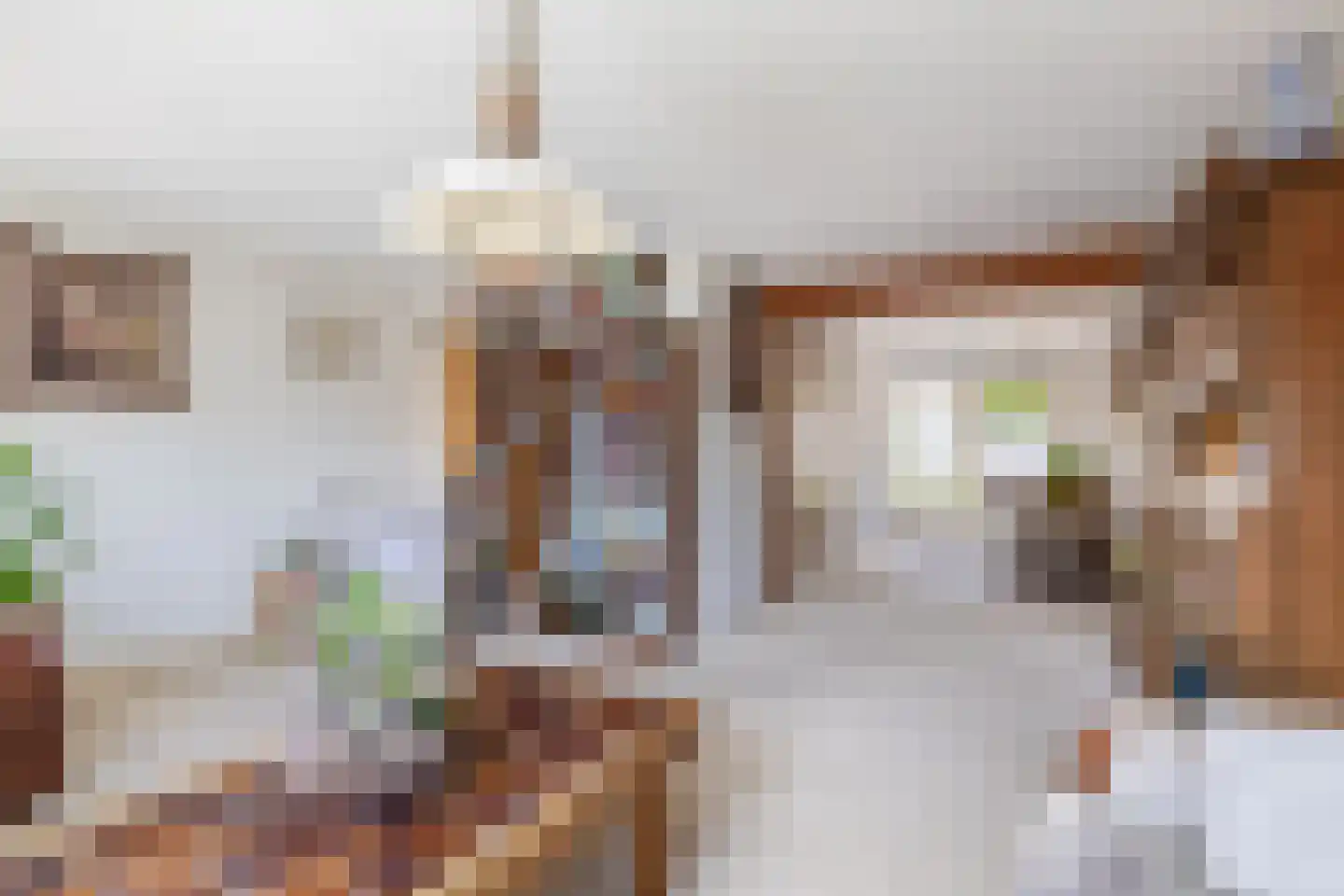 Lijster 28 Sommelsdijk thumbnail 15
