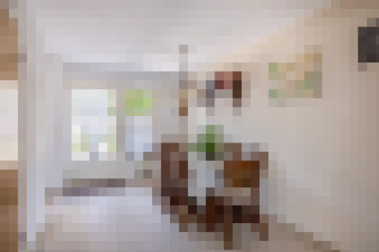 Lijster 28 Sommelsdijk thumbnail 16