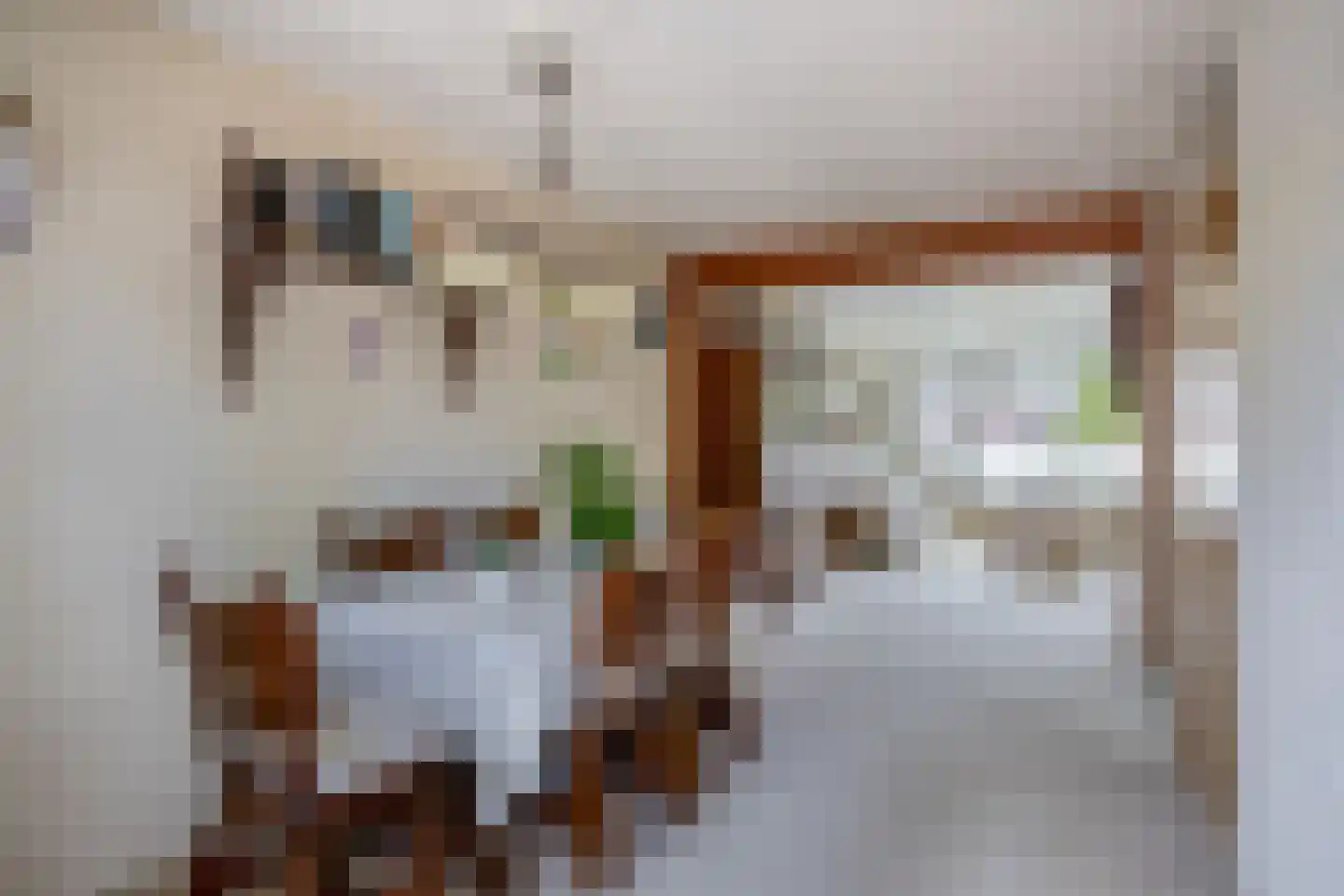 Lijster 28 Sommelsdijk thumbnail 17
