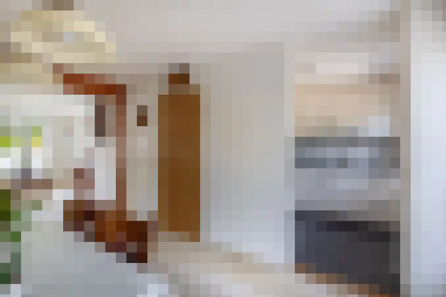 Lijster 28 Sommelsdijk thumbnail 18