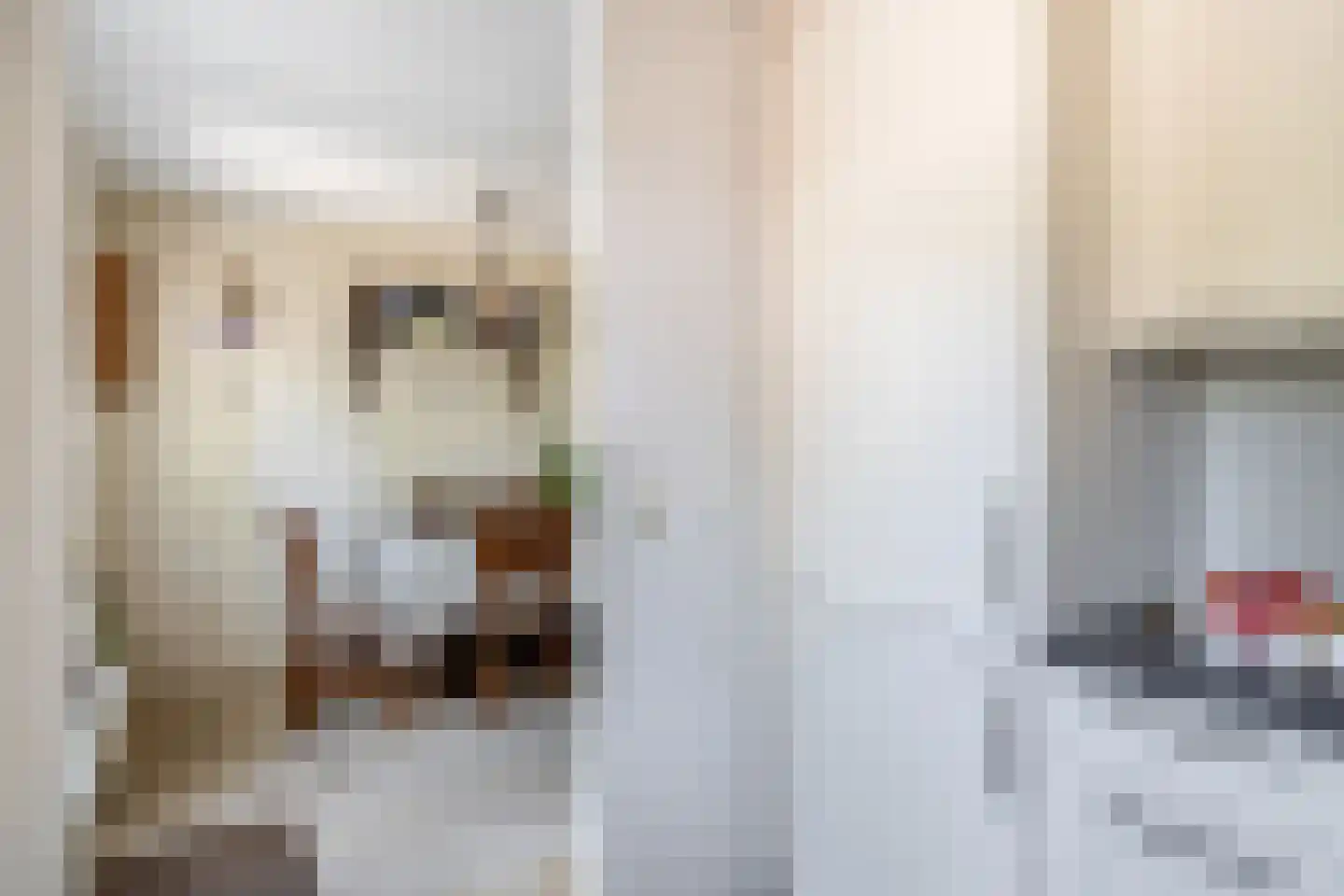 Lijster 28 Sommelsdijk thumbnail 19