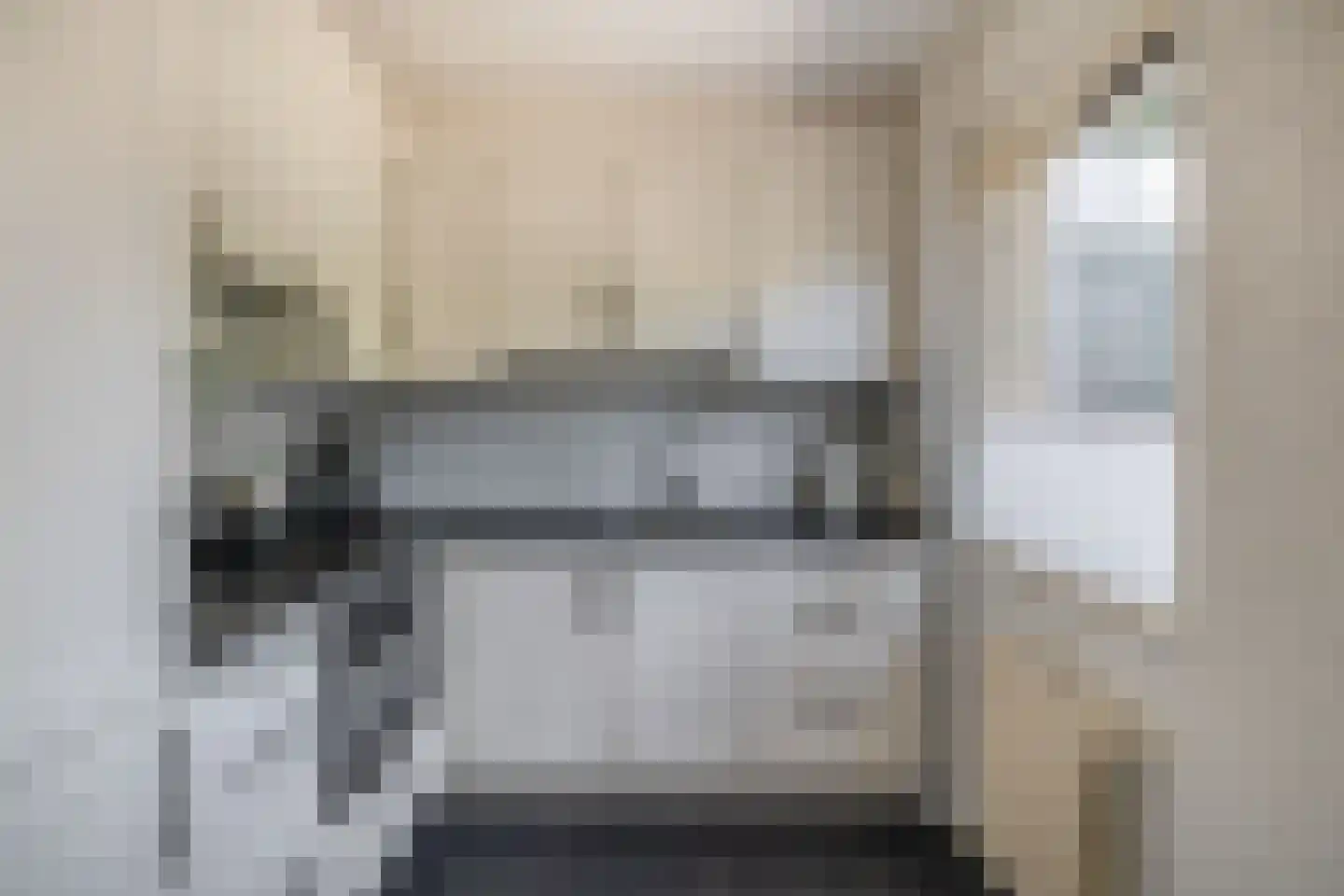 Lijster 28 Sommelsdijk thumbnail 20