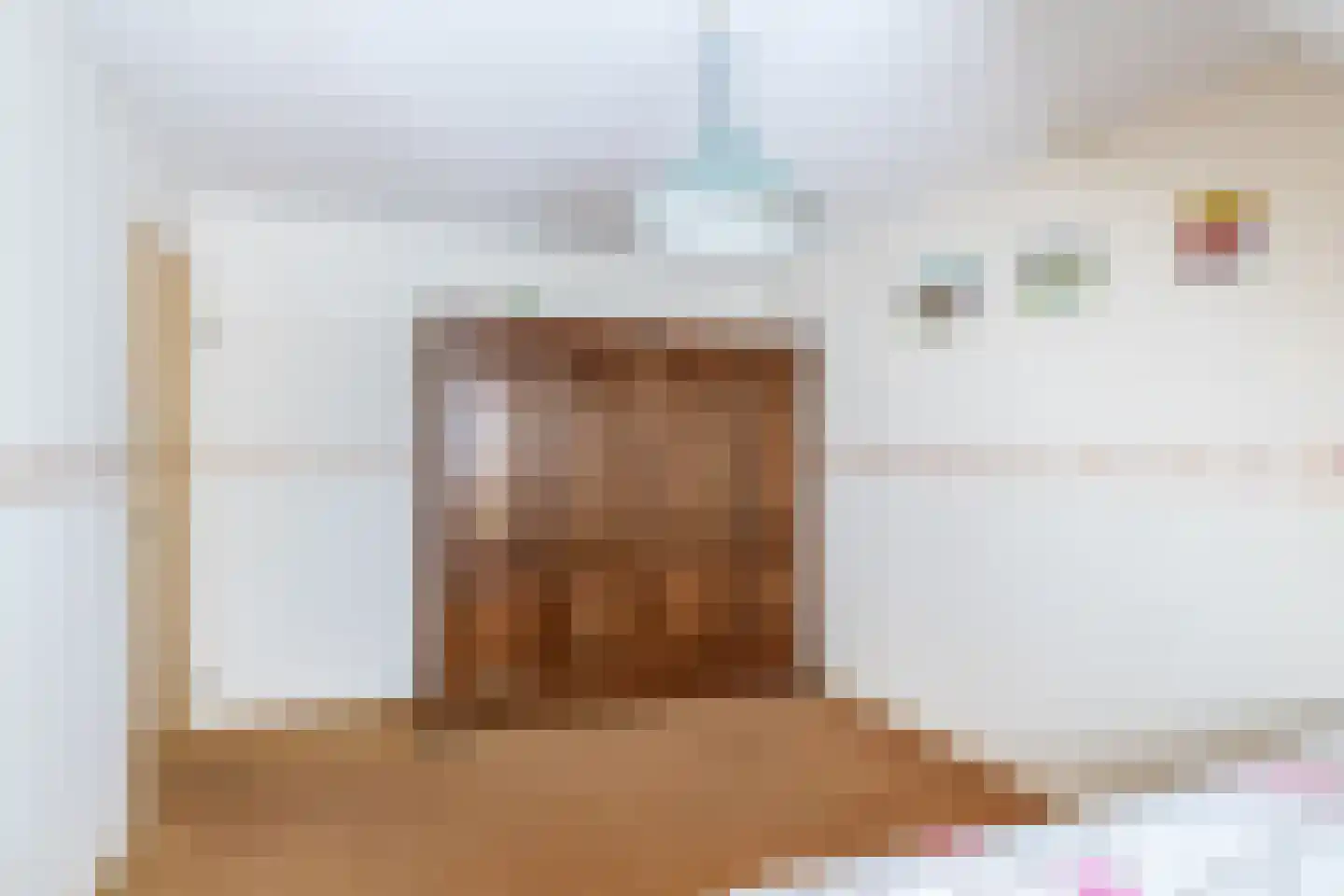 Lijster 28 Sommelsdijk thumbnail 23
