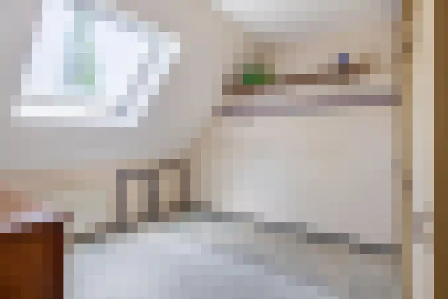 Lijster 28 Sommelsdijk thumbnail 24