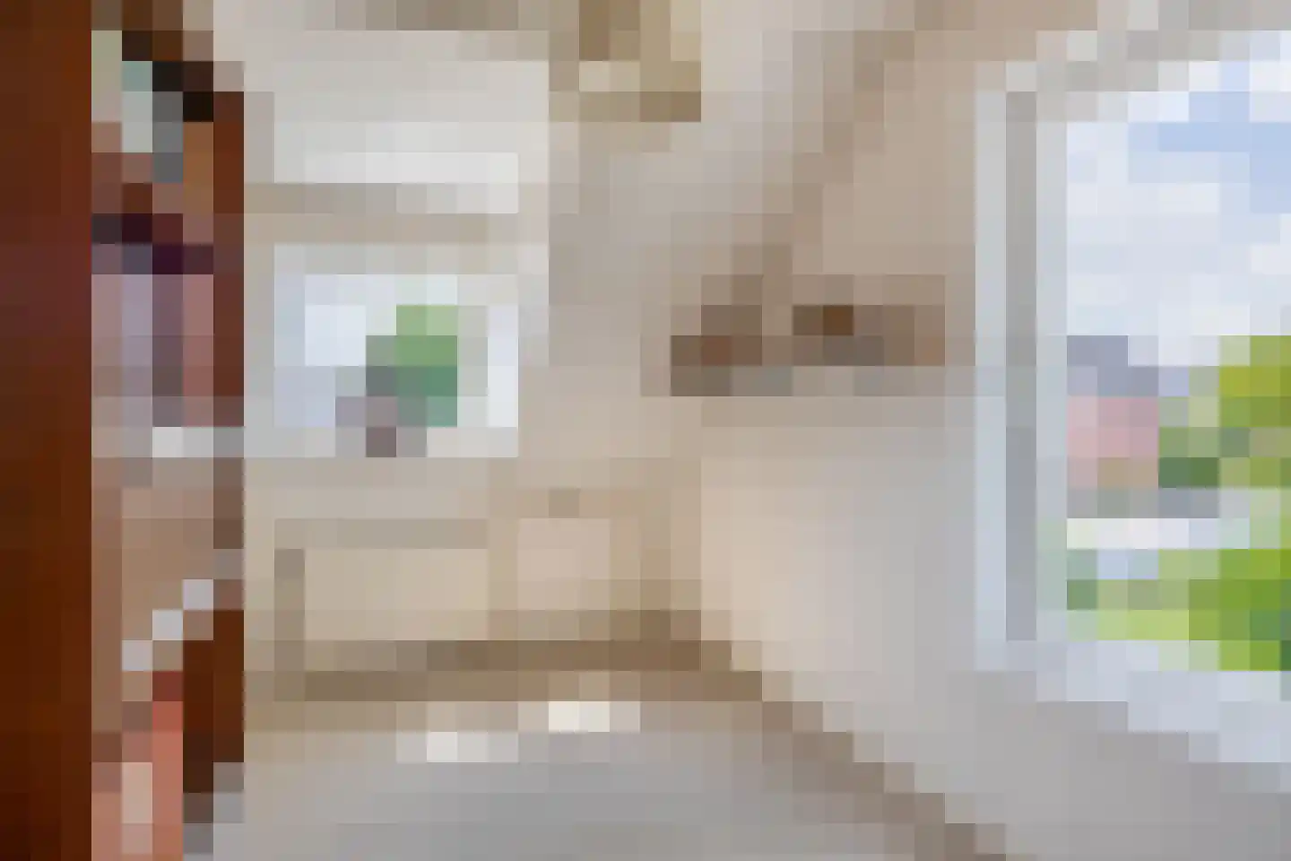 Lijster 28 Sommelsdijk thumbnail 25