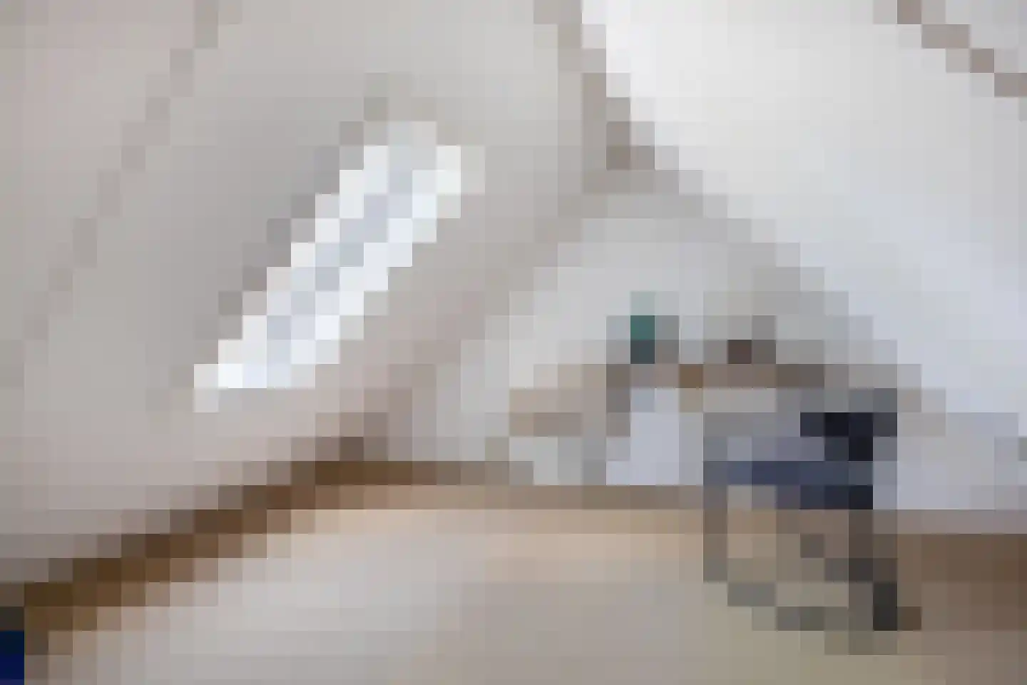 Lijster 28 Sommelsdijk thumbnail 29