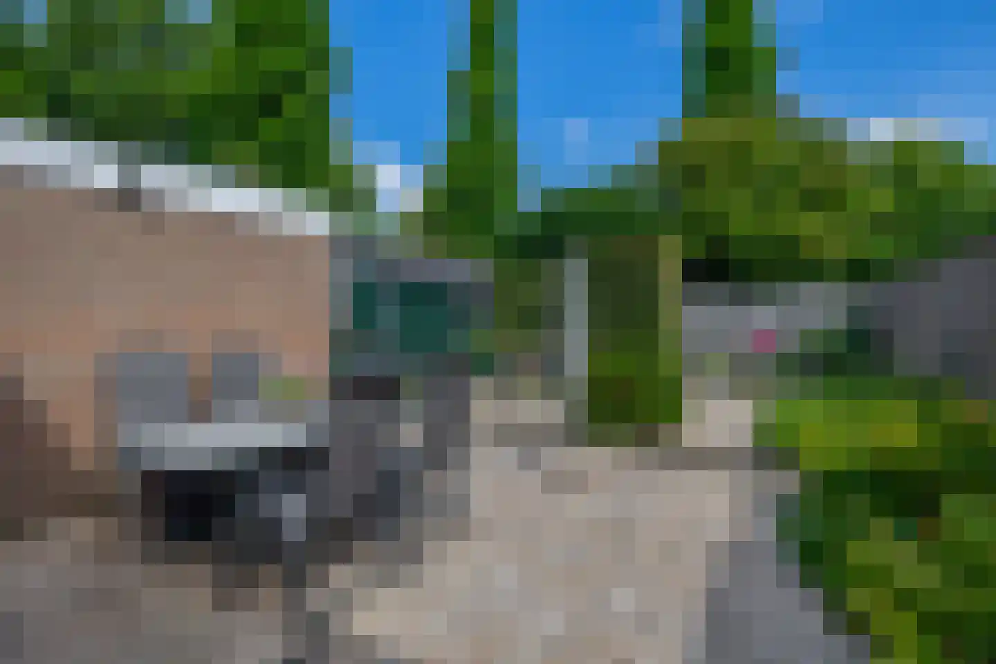 Lijster 28 Sommelsdijk thumbnail 30