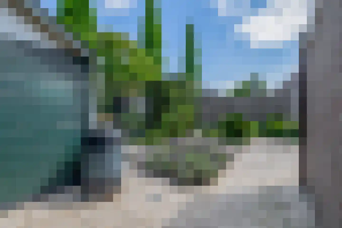 Lijster 28 Sommelsdijk thumbnail 31