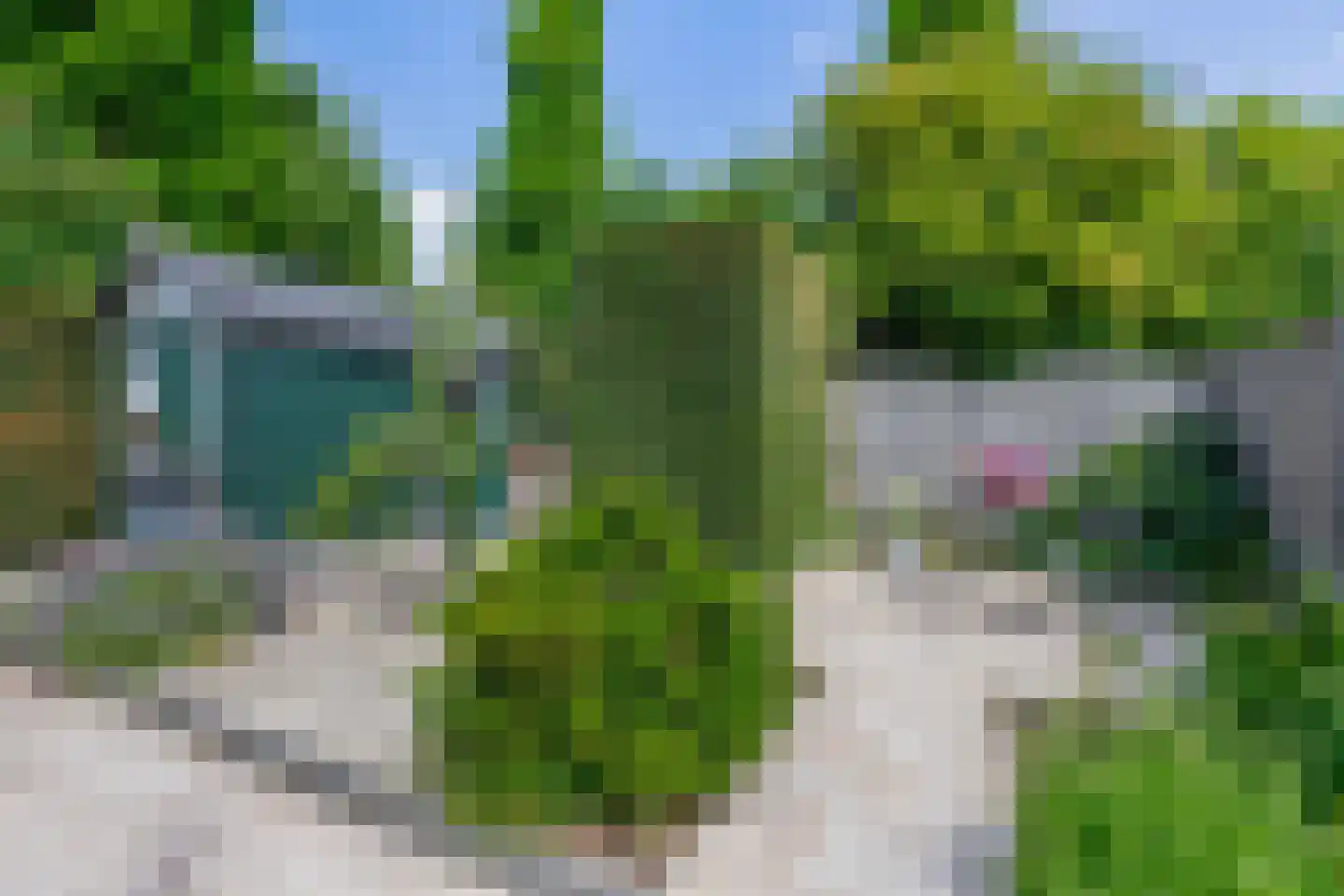 Lijster 28 Sommelsdijk thumbnail 32
