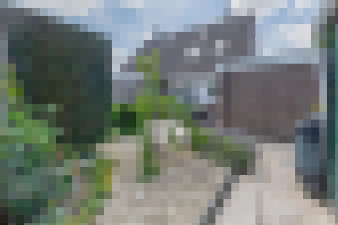 Lijster 28 Sommelsdijk thumbnail 35
