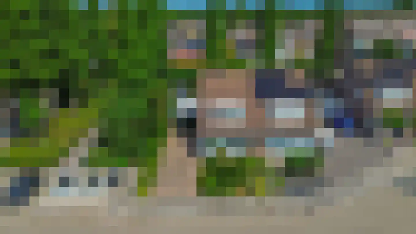 Lijster 28 Sommelsdijk thumbnail 37