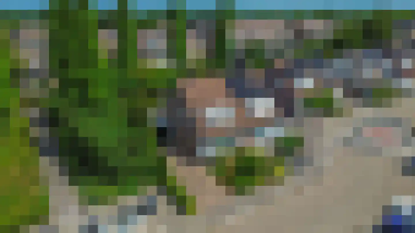 Lijster 28 Sommelsdijk thumbnail 38