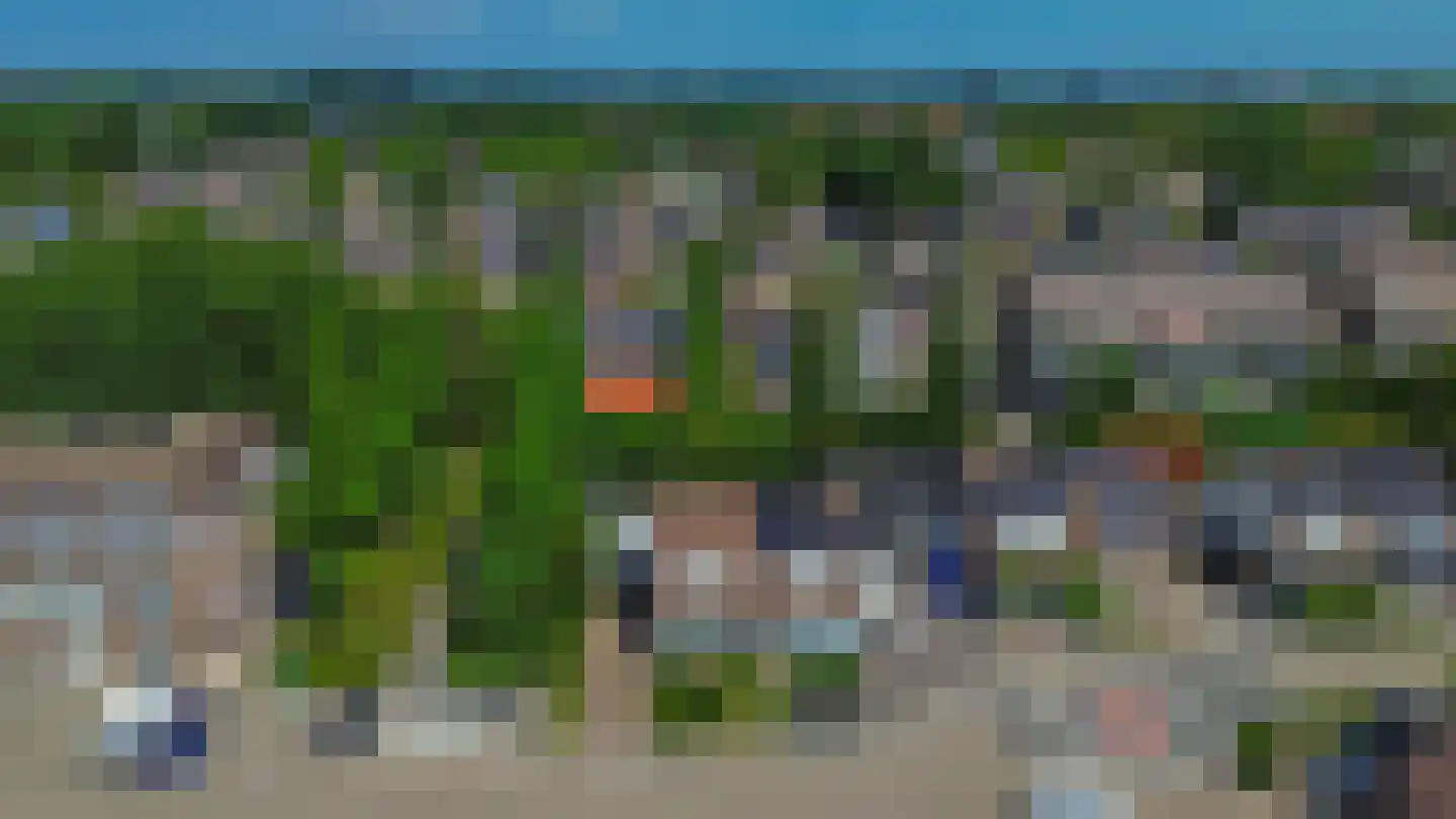 Lijster 28 Sommelsdijk thumbnail 39