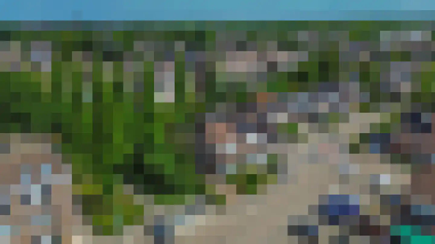 Lijster 28 Sommelsdijk thumbnail 4