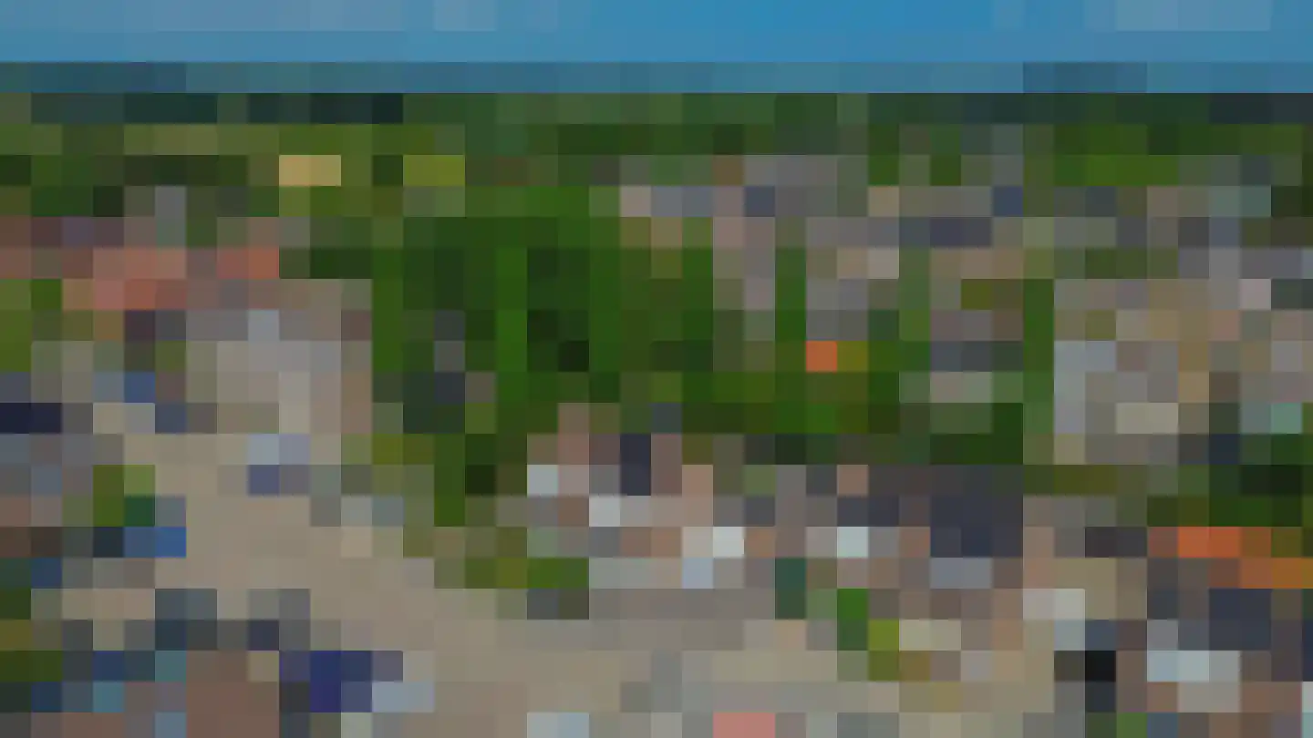 Lijster 28 Sommelsdijk thumbnail 40
