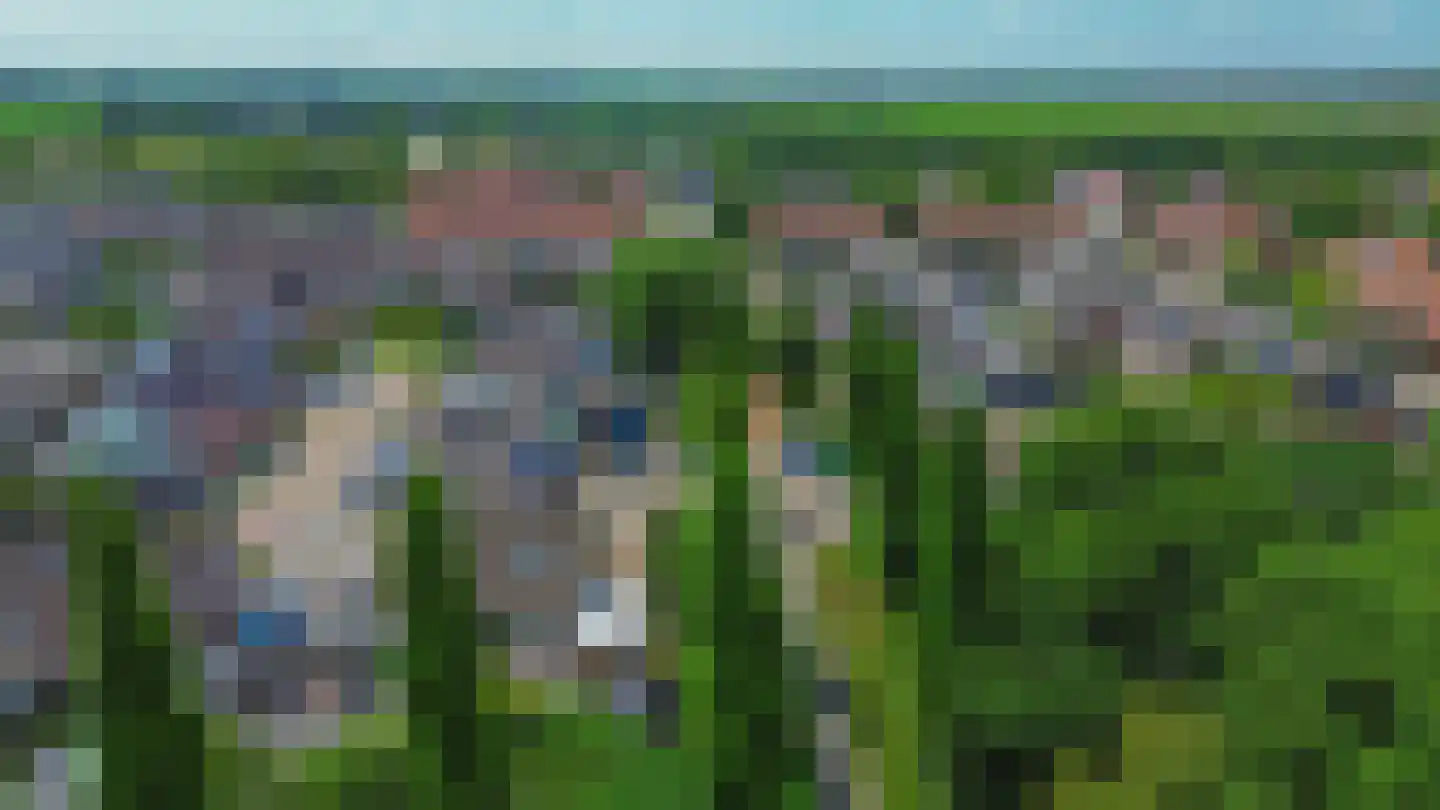 Lijster 28 Sommelsdijk thumbnail 41