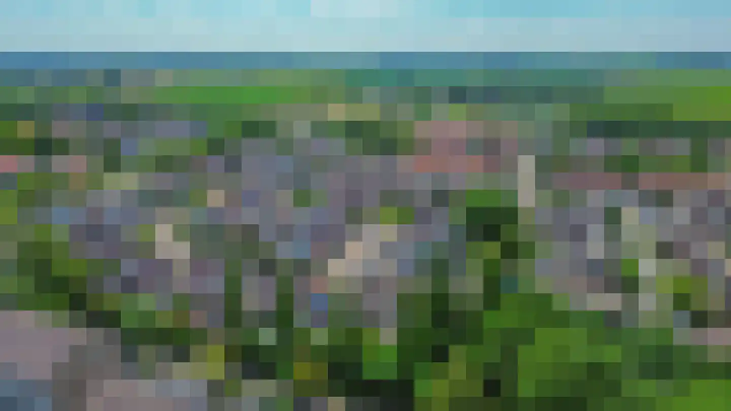 Lijster 28 Sommelsdijk thumbnail 42