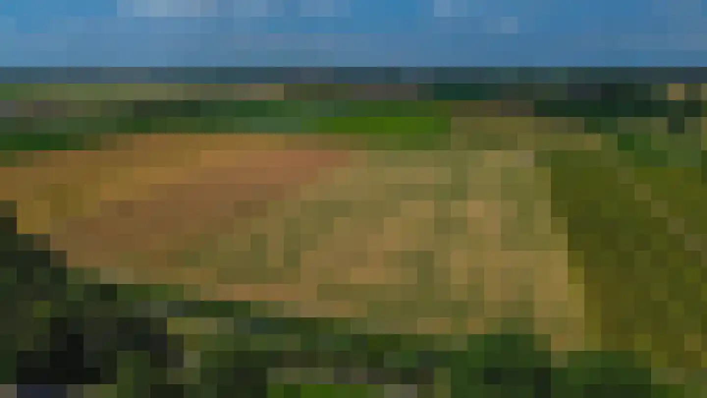 Lijster 28 Sommelsdijk thumbnail 43