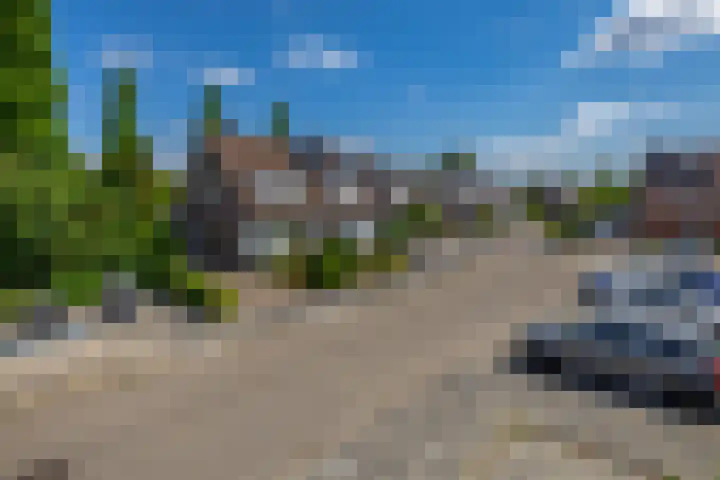 Lijster 28 Sommelsdijk thumbnail 6