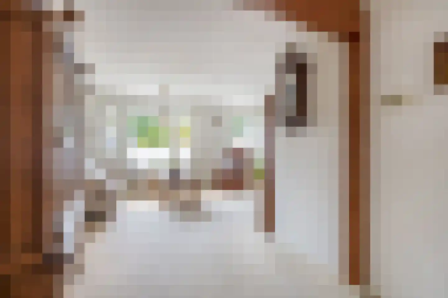 Lijster 28 Sommelsdijk thumbnail 9