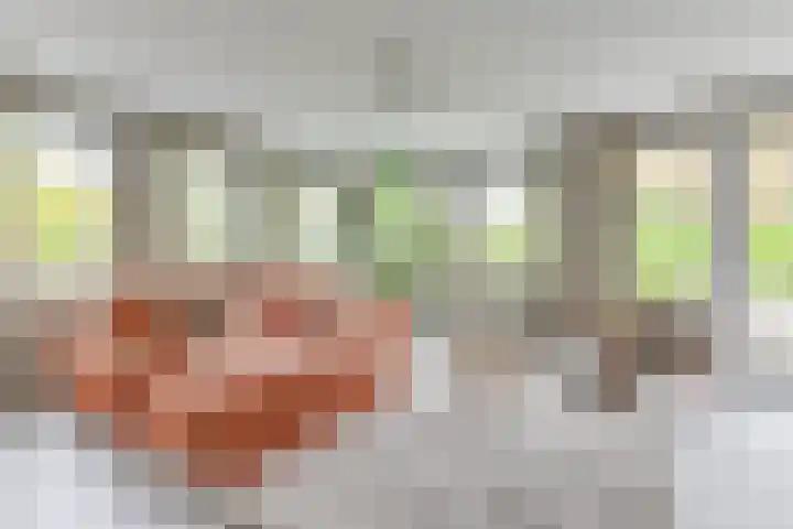 Lijster 3 a Spanbroek thumbnail 10