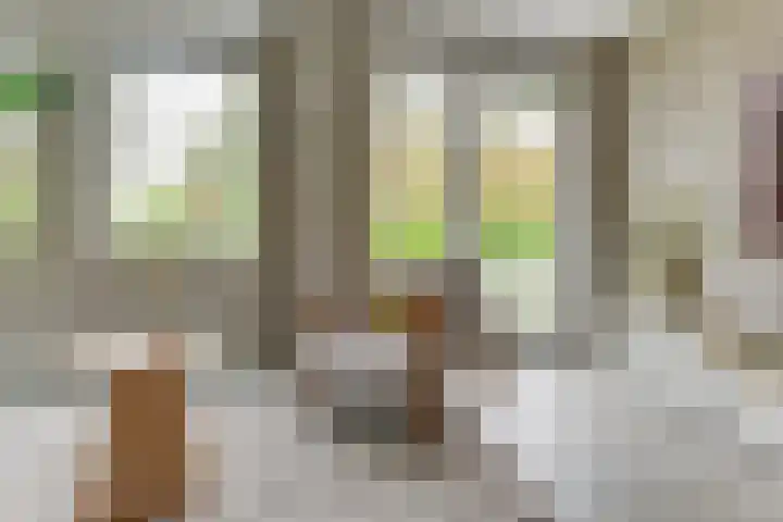 Lijster 3 a Spanbroek thumbnail 12