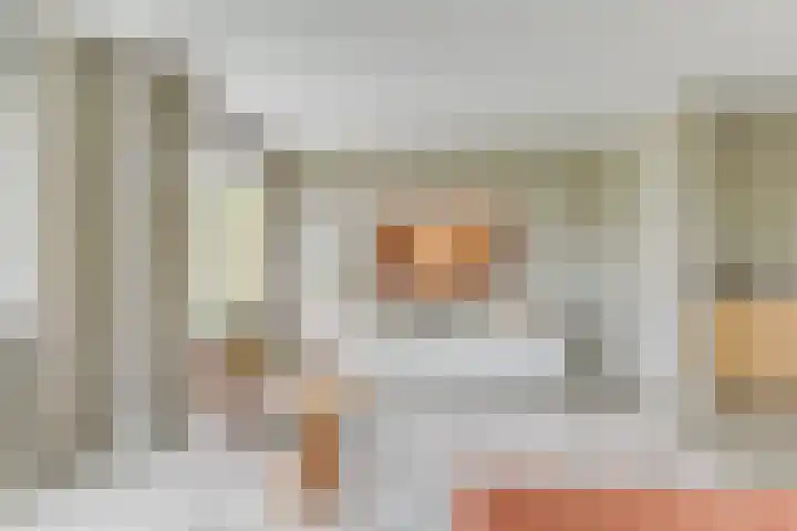 Lijster 3 a Spanbroek thumbnail 13