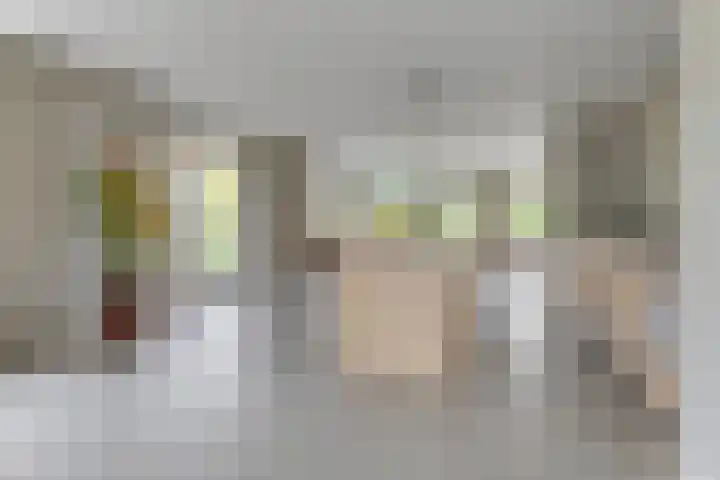 Lijster 3 a Spanbroek thumbnail 14