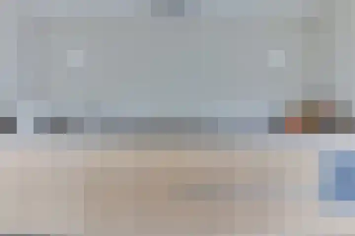 Lijster 3 a Spanbroek thumbnail 16