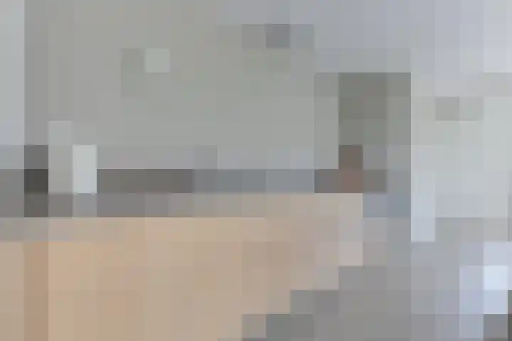 Lijster 3 a Spanbroek thumbnail 17