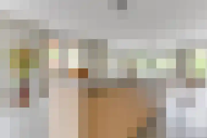 Lijster 3 a Spanbroek thumbnail 18
