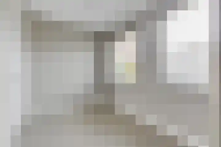 Lijster 3 a Spanbroek thumbnail 20