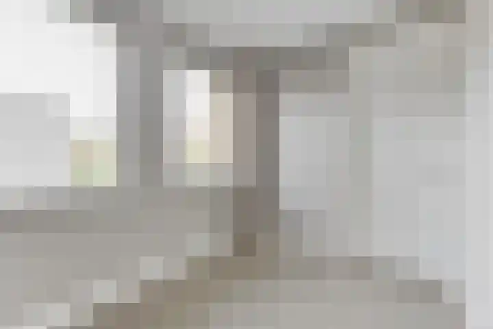 Lijster 3 a Spanbroek thumbnail 21