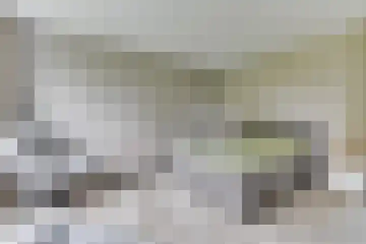 Lijster 3 a Spanbroek thumbnail 22