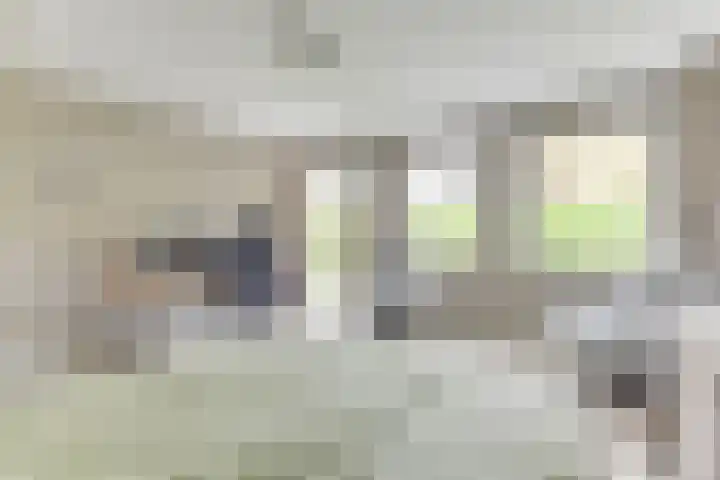 Lijster 3 a Spanbroek thumbnail 23