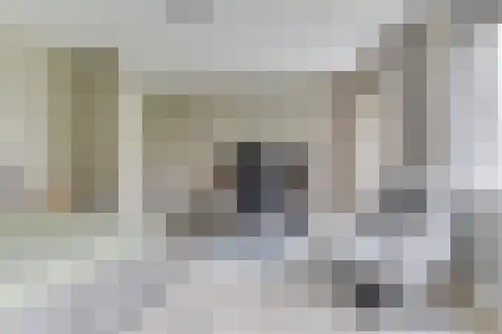 Lijster 3 a Spanbroek thumbnail 24