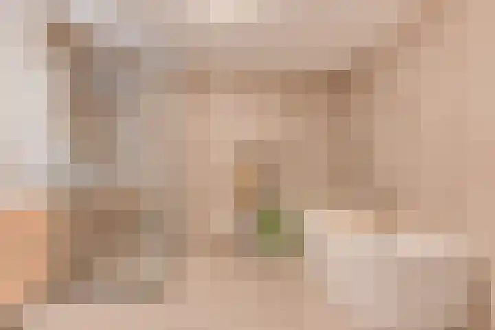 Lijster 3 a Spanbroek thumbnail 25