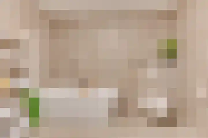 Lijster 3 a Spanbroek thumbnail 27