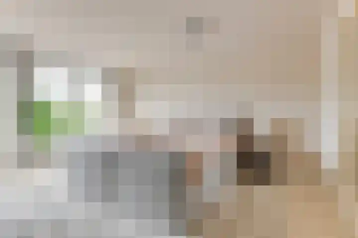 Lijster 3 a Spanbroek thumbnail 29