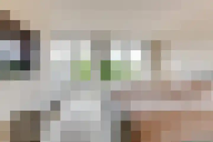 Lijster 3 a Spanbroek thumbnail 30