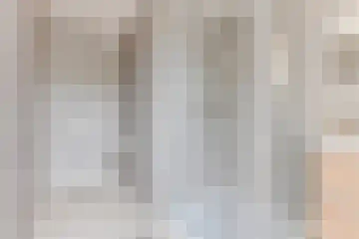 Lijster 3 a Spanbroek thumbnail 35