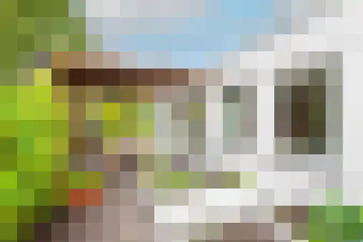 Lijster 3 a Spanbroek thumbnail 36